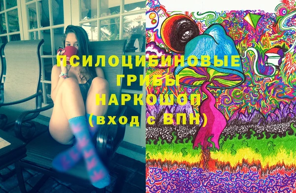 2c-b Алзамай